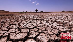 El sector agrícola sufre el impacto de las catástrofes
