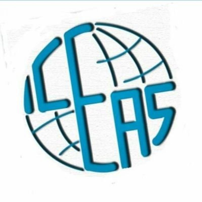 asociacion iceas
